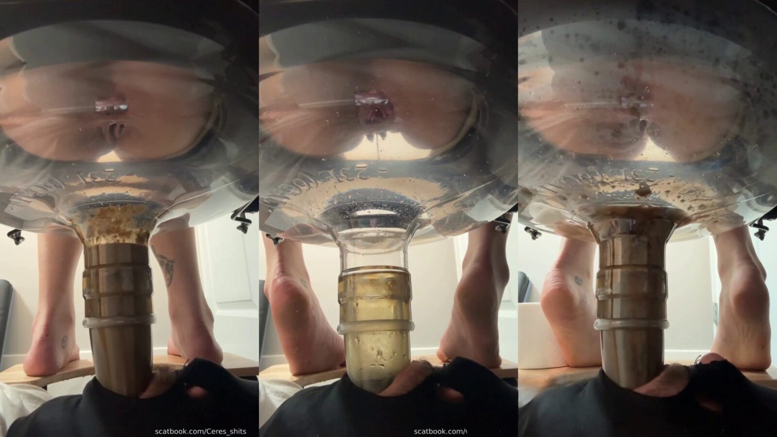24 Minutes of Daily Toilet Slave Destruction P1