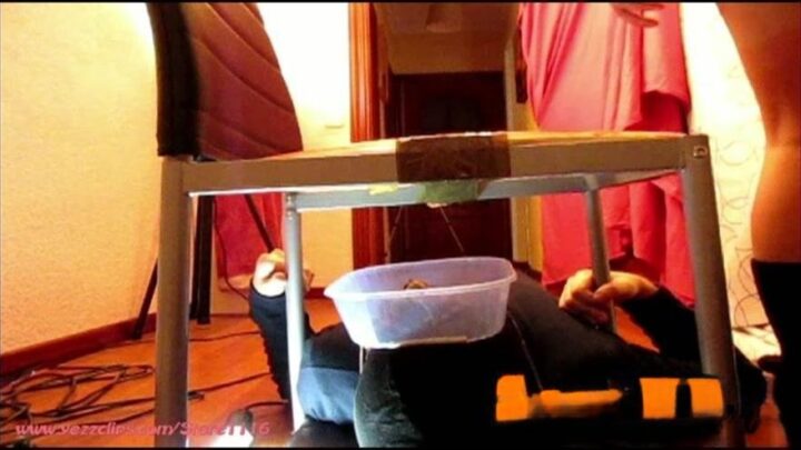 4 Scat Girls – Three Girls Unaware Shitting [FullHD]