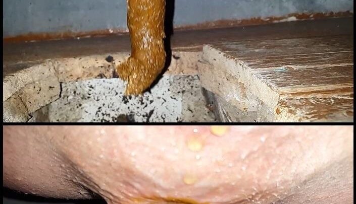 Anna Coprofield – Outdoor Village Toilet 5 Shit Compilation