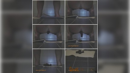 Screenshot 2 from Bernie – Perfect Poop P1