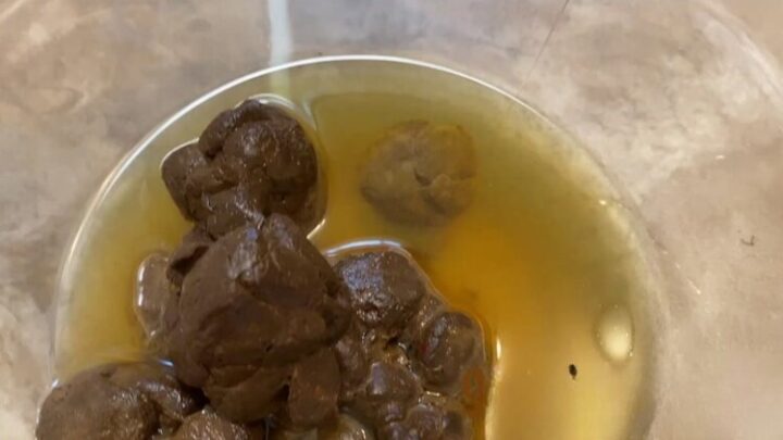 Chronic Goddess – Be My Human Toilet