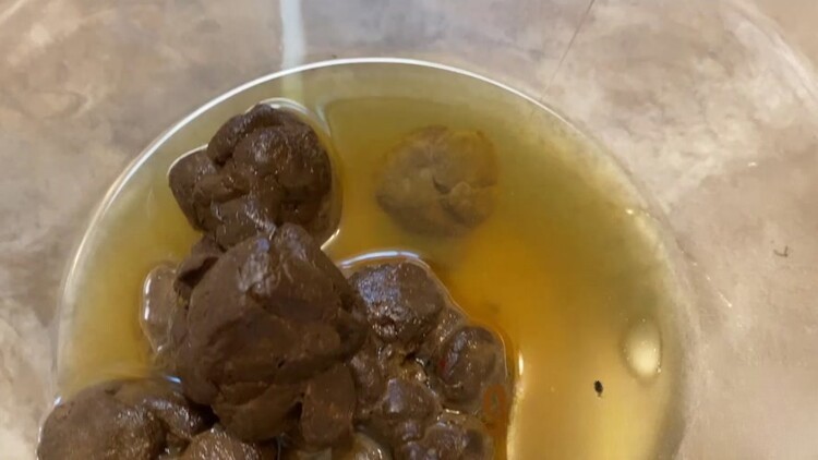 Chronic Goddess – Be My Human Toilet