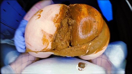Screenshot 5 from Dirty scat Queen trouble