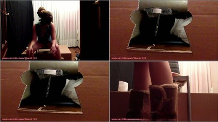 Screenshot 5 from Four Loads for the Human Toilet