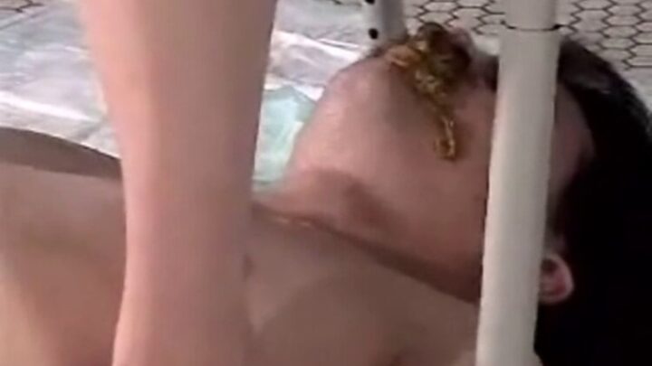 Mistres Delilah Scat Domination Orgia. P1