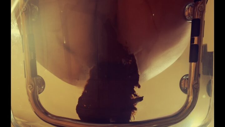 Poop in transparent chair