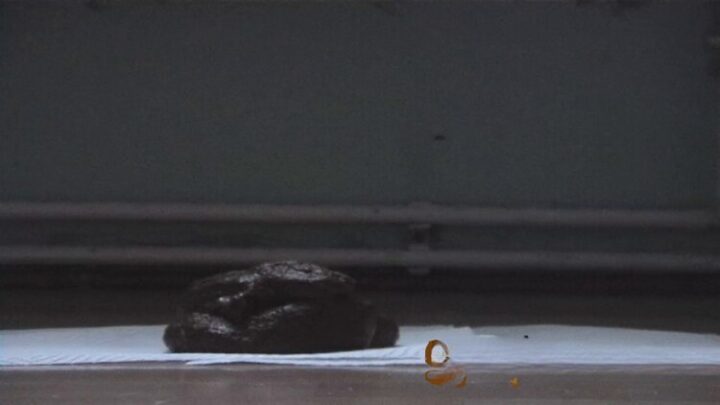 Poop on napkins. P1