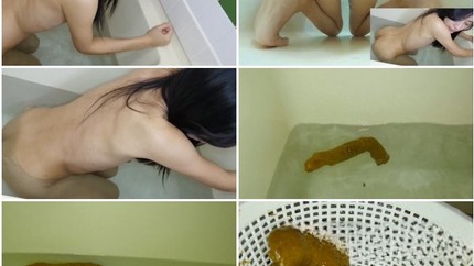 Screenshot 2 from Sanae Submerged Poop P1
