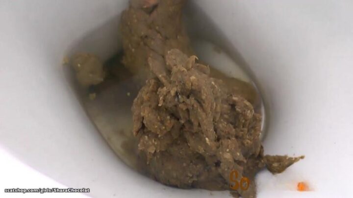 SharaChocolat – 2 Lochness Monster Poos