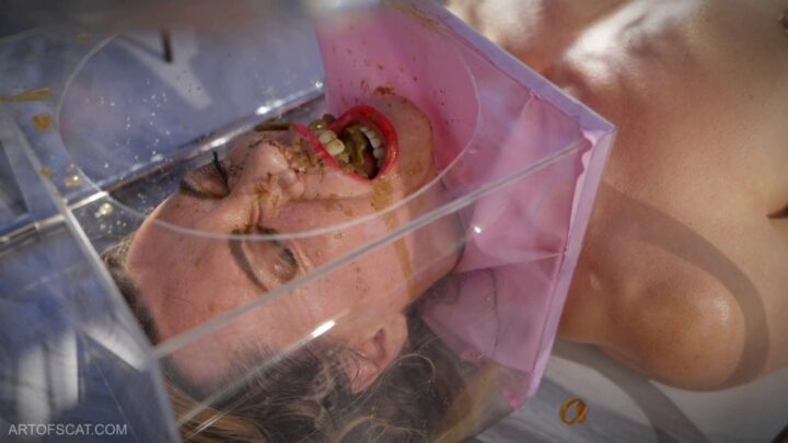 The Box for defecation on the face. P1